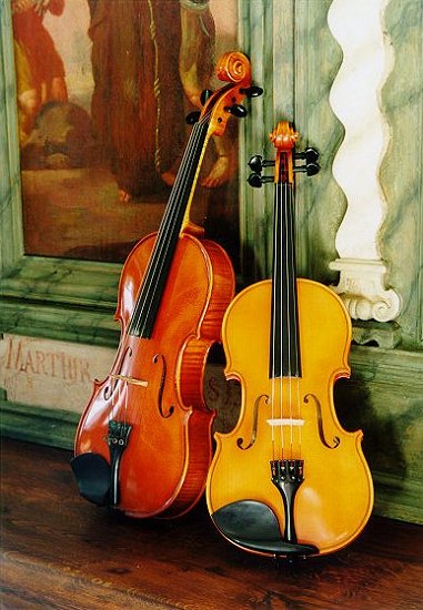 housle_viola4.jpg
