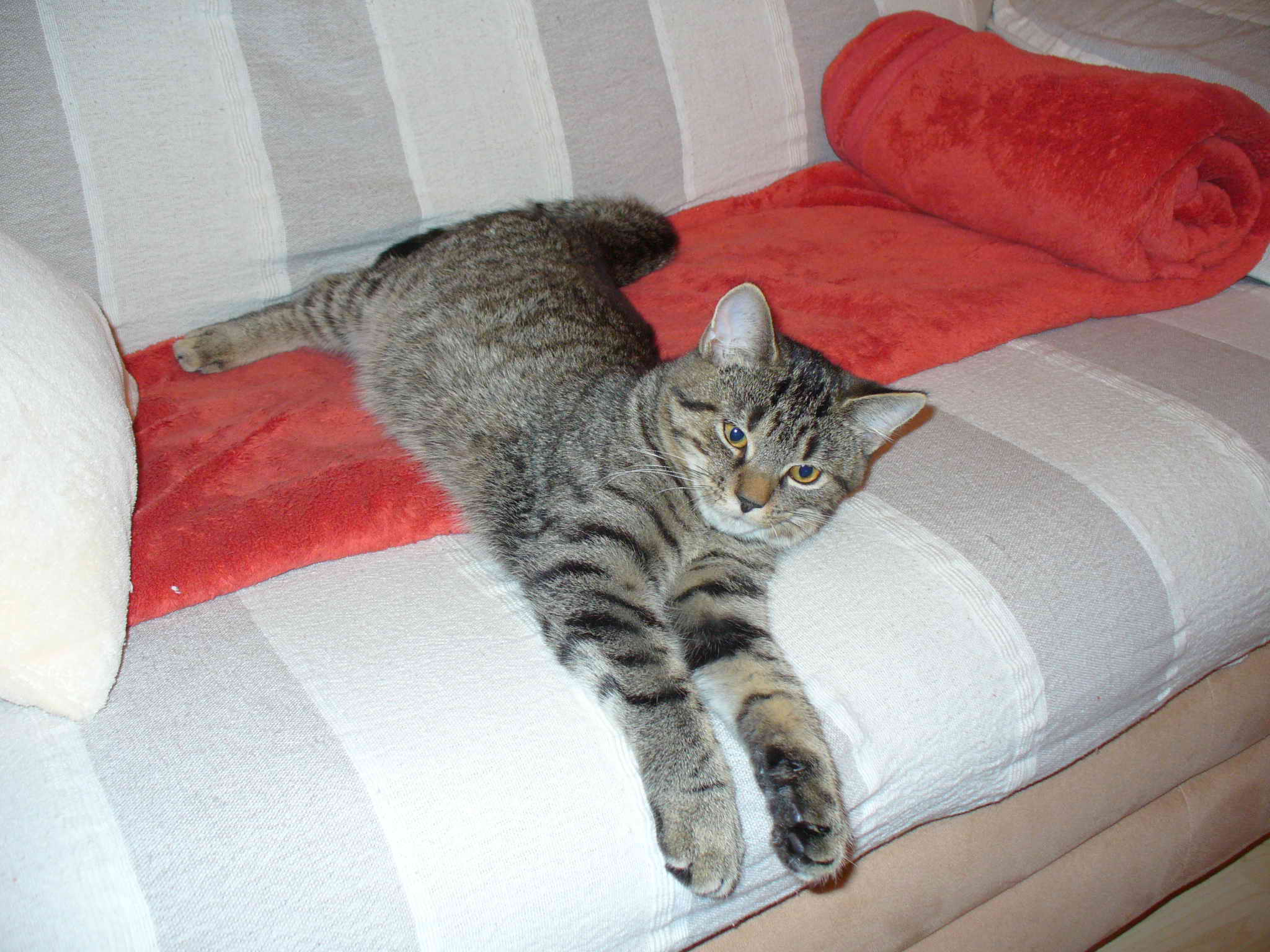 P1030864.jpg