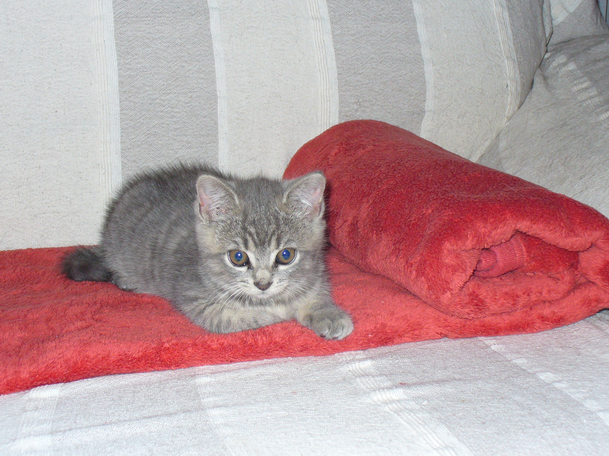 P1090139.JPG